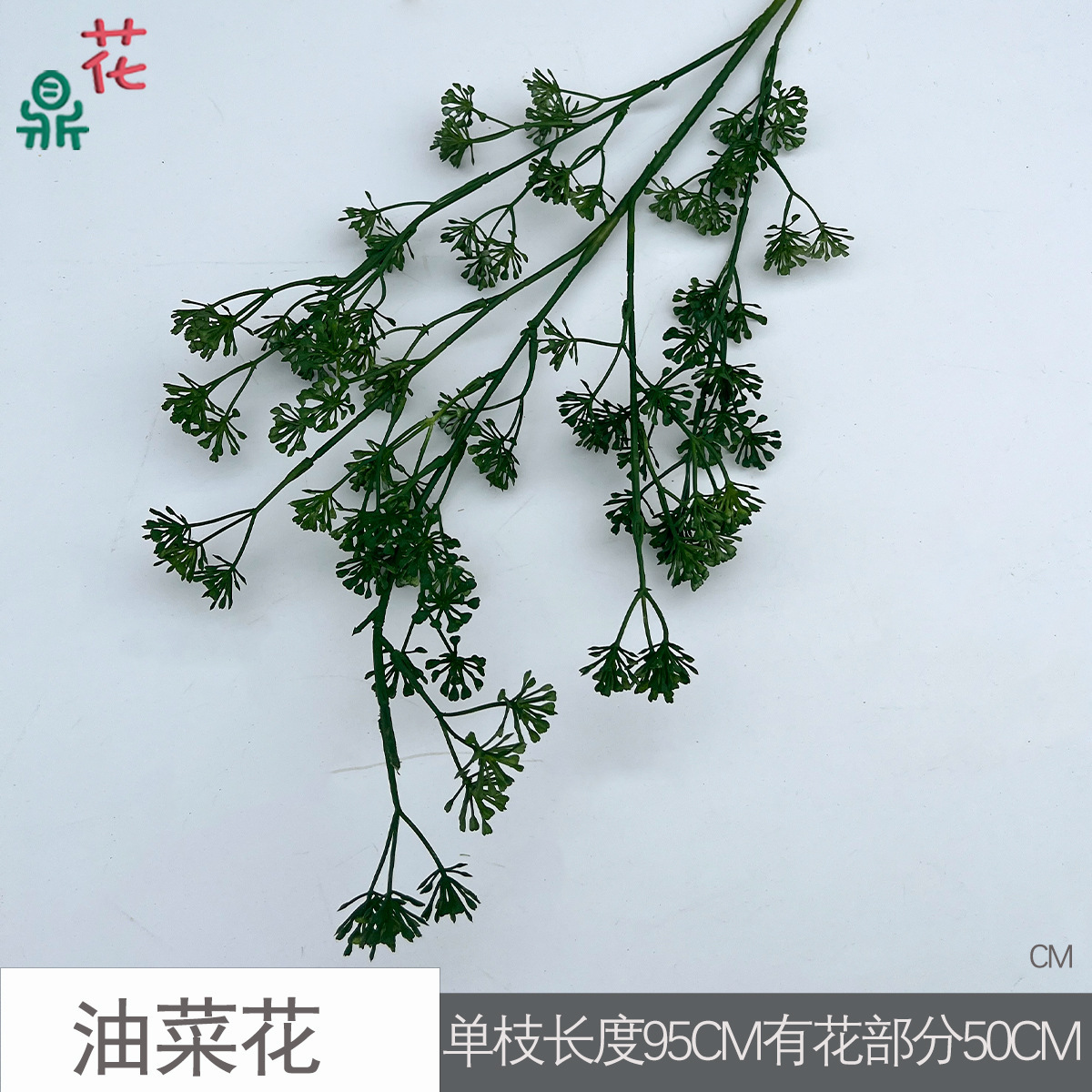 Fleur de colza CM, vert foncé