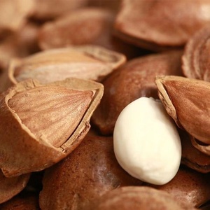 Amandes décortiquées de haute qualité certifiées ISO, petites, blanches, grandes, spécialités, fruits secs, noix grillées, snacks pelés à la main, nouvellement ouvertes - Product Image 3