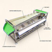 Machine de tri automatique des fruits : oignon, mangoustan, myrtille, avocat, datte, tomate – pour usine de transformation de fruits
