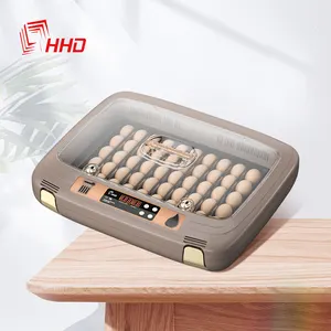 HHD, Новое поступление, высококачественный инкубатор для куриных яиц queen 50, распродажа