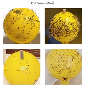 Piège à mouches des fruits d'intérieur durable en forme de boule, fabriqué en PP solide, pour la lutte antiparasitaire des vergers de melons et d'agrumes, le contrôle et la répulsion des animaux - Product Image 4