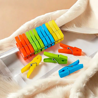 Pinces à linge en plastique robustes avec ressorts, colorées et portables, pour usage extérieur