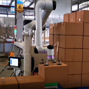 Brazo Robótico Colaborativo de Alta Velocidad Huayan Robotics S20 S30 S40 S50 para Manipulación y Paletización de Carga Pesada - Product Image 5