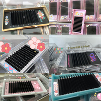 Cils super noirs fabriqués à la main de marque privée en gros vendeur d'extension de cils individuels plateaux de cils de volume en vison noir mat