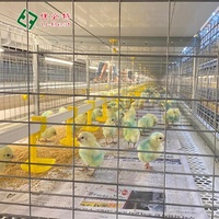 Cages à poulets de type H avec batterie et équipement d'élevage automatique de nouvelle génération