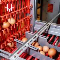 Système de cages en batterie automatique de type H, avec courroie de fumier, convoyeur à œufs et abreuvoir à tétine, pour élevage de poulets OEM