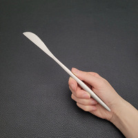 Juego de Cubiertos Desechables de Alta Gama, Modernos y Lujosos, de Acero Inoxidable Plateado Mate, Cuchillo, Tenedor, Cuchara, Cuchara para Té, con Logotipo Personalizado, para Uso Doméstico