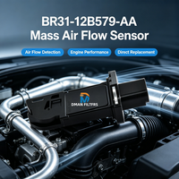 Capteur de débit d'air massique (MAF) OEM de haute qualité 5037219 BR31-12B579-AA pour moteur automobile