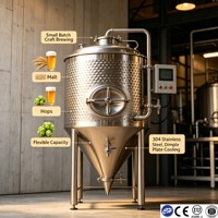 Cuve de Fermentation de Brasserie en Acier Inoxydable 304/316, Cuve Conique sous Pression pour Bière et Vin, 500L-1000L, Certifiée ASME CE