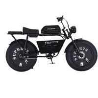 Vélo Électrique Rétro Tout-Terrain pour Adultes, Moteur Central, Pneus Larges, 15 Ah, 20 Pouces, 750 W