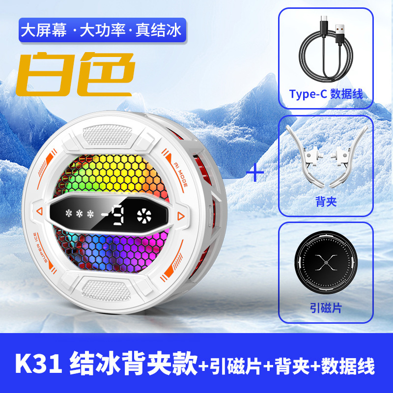 B31 White Clip