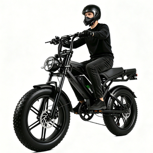 Vélo électrique V60 Fatbike 20 pouces, vélo électrique 250 <span class=keywords><strong>watts</strong></span>, vélo à pneus larges, 25 km/h, 250w - Product Image 1