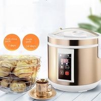 Machine de Fermentation Automatique Standard Européenne 110V-240v pour Ail Noir Capacité 5L Machine à Enzyme à Usage Domestique 1 An