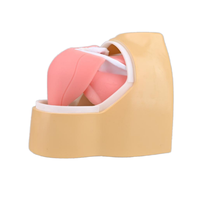 Simulador de entrenamiento artroscópico humano para ciencias médicas, modelo de articulación de hombro para uso en enseñanza médica, CE/ISO