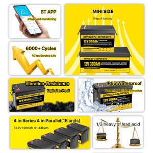 Eu loo4 סוללת 25.6 וולט lifepo4 12.8v סוללה סולארית <span class=keywords><strong>lipo4</strong></span> 12v 100ah 200ah ג 'ל-lifepo4 סוללת עם bms - Product Image 2