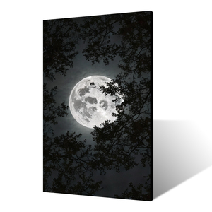 Trăng tròn và bóng cây bức tranh in màu đen và trắng ánh trăng rừng phong cảnh tường nghệ thuật - Product Image 4