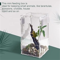 Installer Simple Clear Watch Acrylique Mini Reptile Habitat Serrure de porte pour Lupus Corps étranger Cafard Invertébré