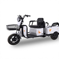 Tricycle électrique longue portée pour le commerce transfrontalier, véhicule utilitaire à batterie, modèle à petit plateau, 48V, plus de 20 km/h
