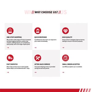 Moteur diesel monocylindre (12HP-35HP) Moteur diesel marin 195 1100 1105 1110 1115 1125 1130 1135 - Product Image 4