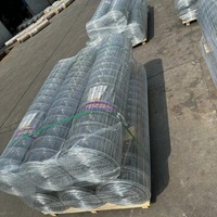 Grillage soudé galvanisé à chaud 1x1 pour clôture animale, filet pour volailles, poulets, lapins, élevage de bétail, cage en fil métallique robuste