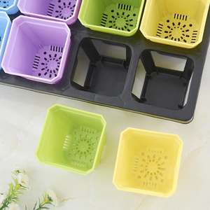 Plateau de 12 alvéoles rectangulaires pour semis, en plastique, avec réservoir d'eau, support pour plantes succulentes, grille fixe pour pots de 7x8 cm, noir et blanc - Product Image 4