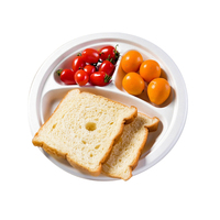 Assiette jetable carrée ou ronde en bagasse de canne à sucre, de qualité supérieure, résistante et micro-ondable, idéale pour les pique-niques
