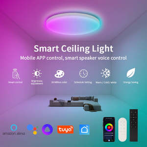 Plafonnier LED intelligent Tuya <span class=keywords><strong>WiFi</strong></span> RGB à intensité variable 24W AC85-265V compatible avec Alexa Google Home, synchronisation musicale, <span class=keywords><strong>lampe</strong></span> d'intérieur moderne CE RoHS - Product Image 2
