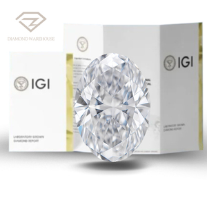 DW 1～3カラット IGI認定 ブリリアントカット HPHT CVD ラボグロウンダイヤモンド 1カラット 国際認定 - Product Image 1