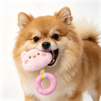 Jouet en peluche rose en forme de cochon pour animaux de compagnie, avec bande à mordre en TPR et couineur à nœud de corde, pour la mastication et le jeu quotidien des chats et des chiens, vente en gros