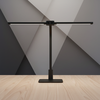 Lampe artisanale LED à double tête 18W haute puissance avec contrôle coulissant et mode minuterie, lumière d'étude professionnelle pour la protection des yeux