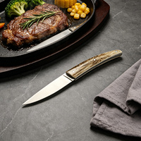Ensemble de couteaux à viande de luxe en acier inoxydable, couteaux de table avec manche en acrylique, couteau à steak à bord droit