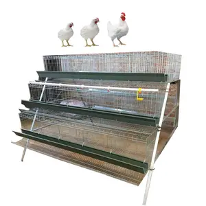 animal cages farm laying hens equipment system automatic battery layer chicken cages HJ-AC90