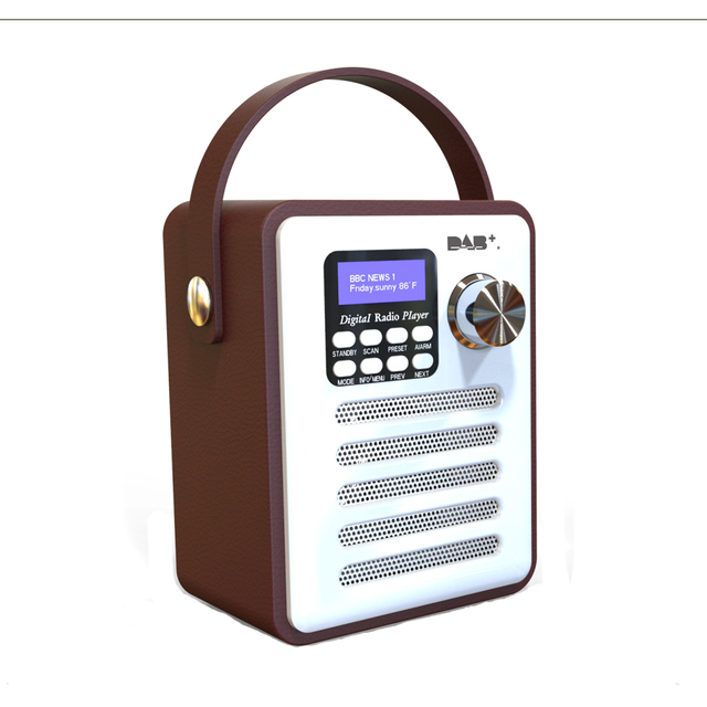 Portable DAB/DAB+ FM Radio with for Speaker and SD Card Player MP3 Player Alarm Clock Support Stations Presetting