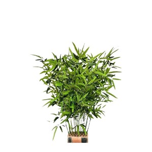 Plante de bambou artificielle de haute qualité, réaliste, décoration d'intérieur, <span class=keywords><strong>plantes</strong></span> de haute qualité, arbre de bambou simulé pour l'intérieur - Product Image 4