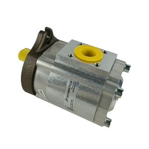 Bomba de Engranajes para Máquina de Moldeo por Inyección ECKERLE 890-EI-0250-FK2-S201 de Alemania - Product Image 6