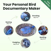 Nichoir pour oiseaux en bois de pin avec caméra 360 degrés, décoration extérieure rustique en bois massif