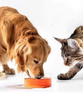 อาหารเสริมสัตว์เลี้ยงสุนัขแมวป่าอลาสกันปลาแซลมอนน้ำมันที่อุดมไปด้วยโอเมก้า3 | การดูดซึมที่ไวต่อการย่อยอาหารเสื้อโค้ทผิวหนังสนับสนุนภูมิคุ้มกัน + - Product Image 4