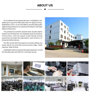 Stampante <span class=keywords><strong>DTF</strong></span> A1 A2 con Macchina Scuotipolvere I3200 Xp600 per Stampa su Magliette - Product Image 6