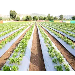 <span class=keywords><strong>Film</strong></span> de serre biodégradable sur mesure en PLA PBAT, souple, anti-goutte, pour la protection des cultures agricoles, <span class=keywords><strong>film</strong></span> de paillage biodégradable - Product Image 1