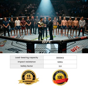 Jaula Octagonal Estándar MMA ONEMAX UFC con Diseño de Logotipo Personalizado para Academias de Artes Marciales y Lugares de Competición - Product Image 4
