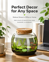 Terrarium en verre borosilicate transparent avec couvercle en liège pour plantes succulentes, mousse, hydroponie et petit aquarium - Décoration de bureau