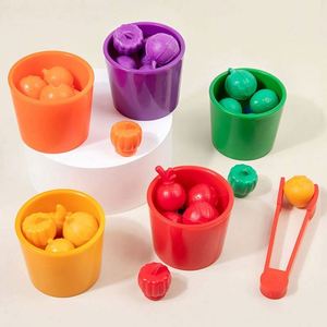 Jouets préscolaires : Jeu d'apprentissage des couleurs et des mathématiques – Comptage des fruits avec gobelets de tri et d'association - Product Image 6