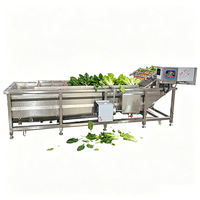Automatische luchtbelwasmachine 304 roestvrij staal industriële fruit groente zeevruchten maïs reinigingsapparatuur pompmotor