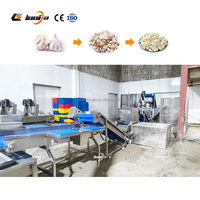Chine 300-1000 KG/H Machine de séparation de l'ail Ligne de production d'épluchage d'ail