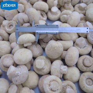 Champignon congelé <span class=keywords><strong>HACCP</strong></span> BRC <span class=keywords><strong>IQF</strong></span> de Chine de haute qualité en gros Champignon congelé dans un sac