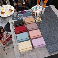 En stock, mini porte-monnaie pour femme Lulu, sac à cartes portable et rangement bancaire, portefeuille de poignet avec fermeture éclair, doublure en polyester