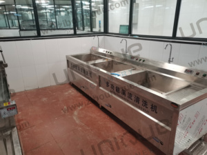 Évier de lavage en machine, pour fruits et légumes, ombré, tomate et carottes - Product Image 4