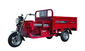 Triciclo Elettrico da Carico ad Alta Potenza, Veicolo Elettrico <span class=keywords><strong>a</strong></span> <span class=keywords><strong>Tre</strong></span> Ruote per Adulti con Lunga Autonomia - Product Image 6