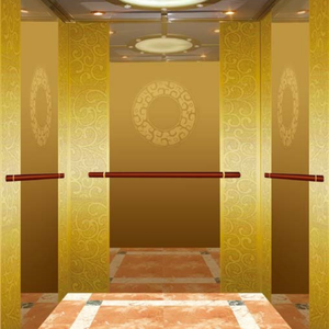 Ascensor Doméstico/Elevador Doméstico Pequeño para Personas Mayores/Elevador Doméstico Vertical para Interiores y Exteriores - Product Image 2