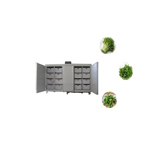 Máquina Germinadora Automática de <span class=keywords><strong>Brotes</strong></span> de Frijol Mungo Orgánico en Venta - Product Image 2